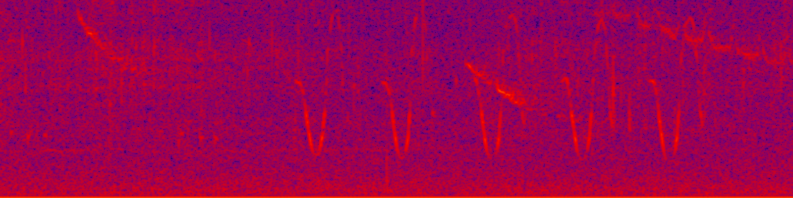 spektrogram