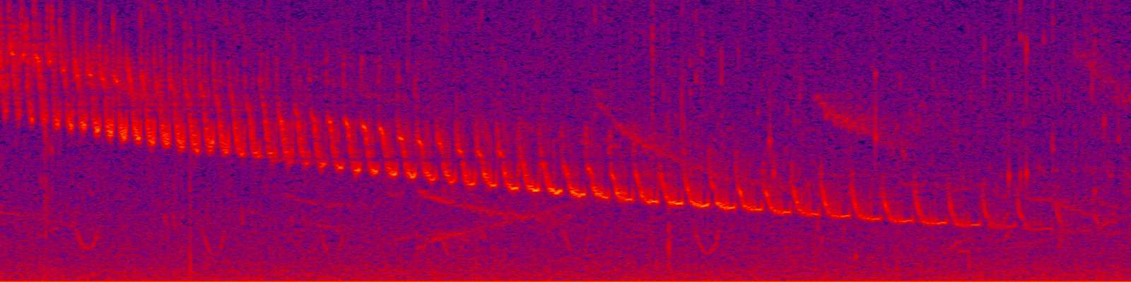 spektrogram