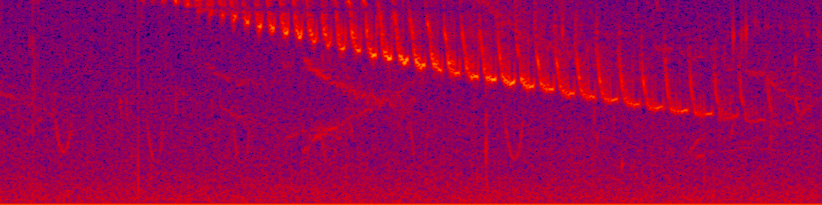 spektrogram