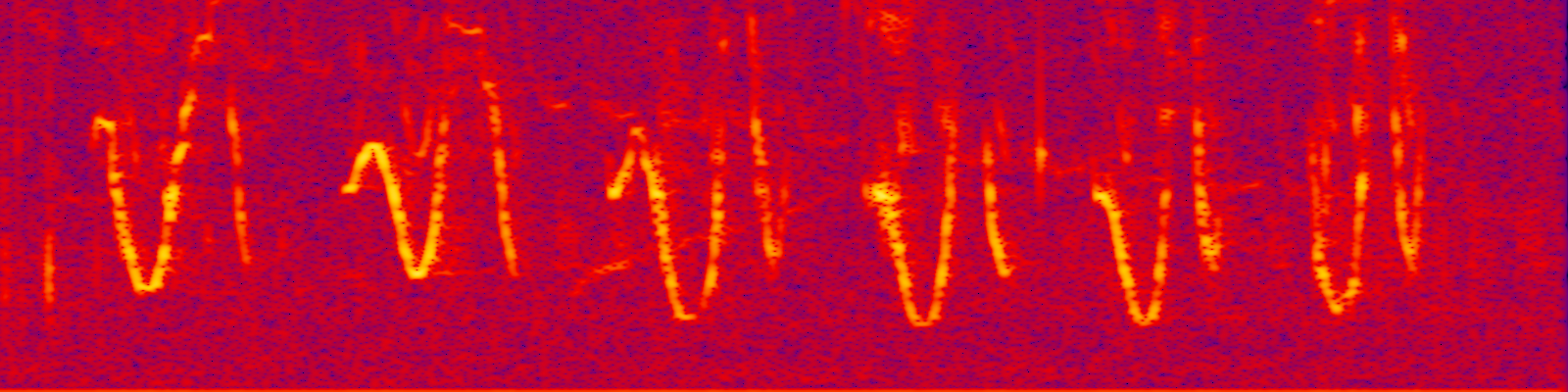 spektrogram