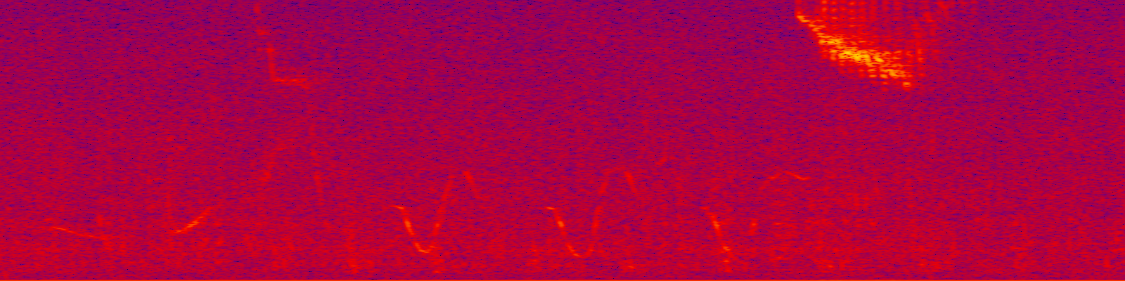 spektrogram