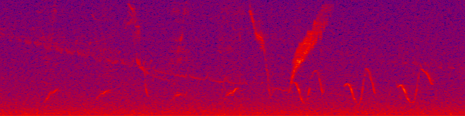 spektrogram