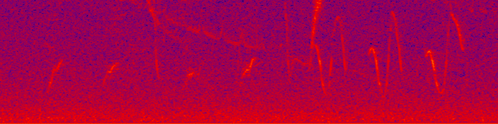spektrogram