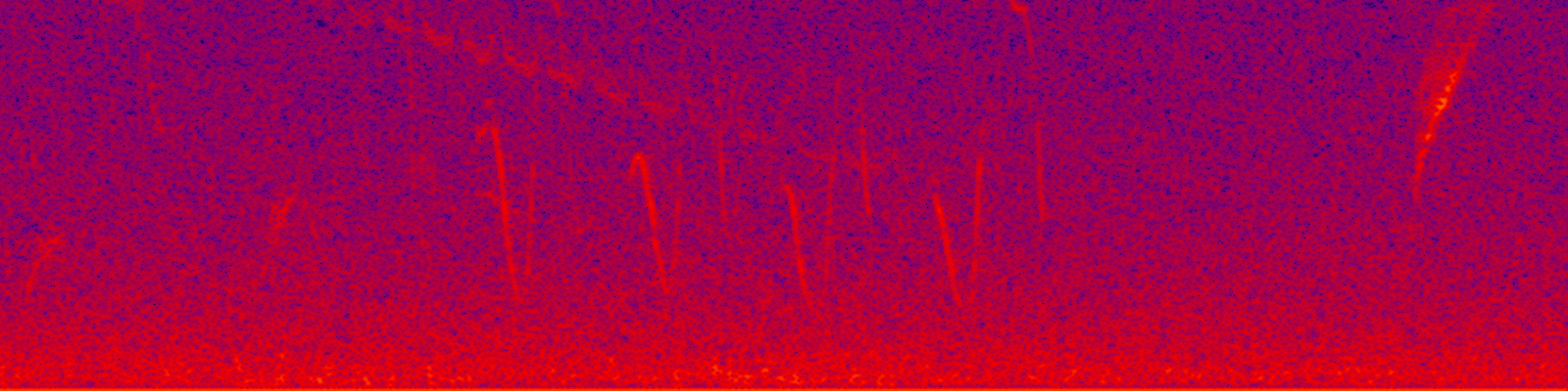 spektrogram