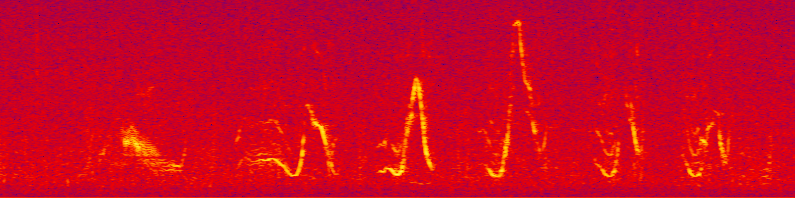 spektrogram