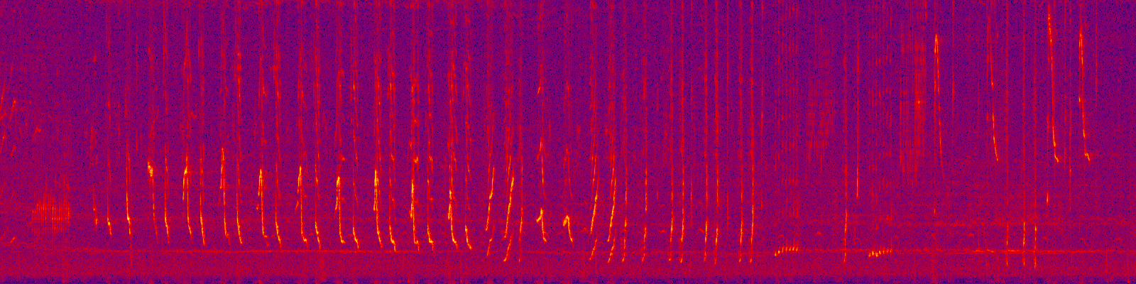 spektrogram
